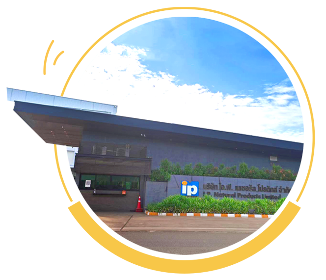 IP ONE